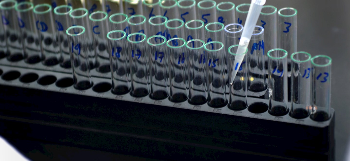 image of test tubes and a pipette