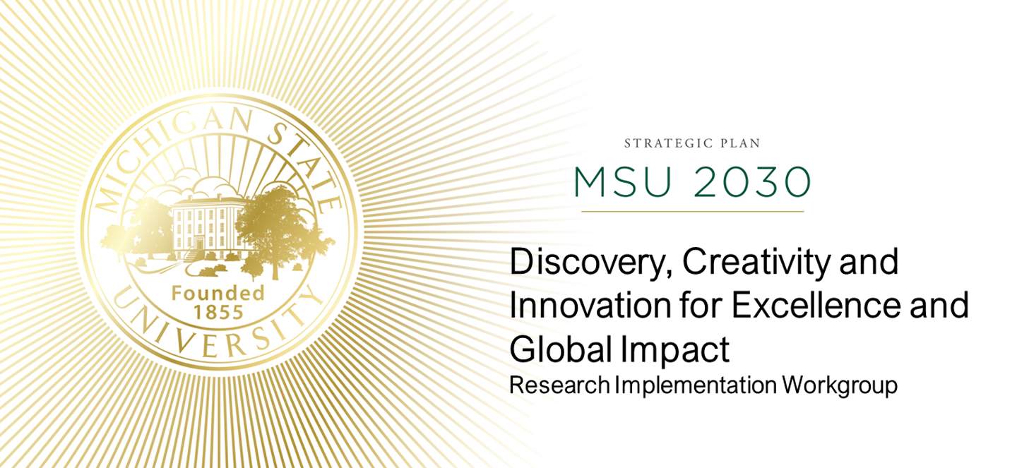 Image with MSU Logo and the wordsDiscovery, Creativity and Innovation for Excellence and Global Impact Research Implementation Workgroup