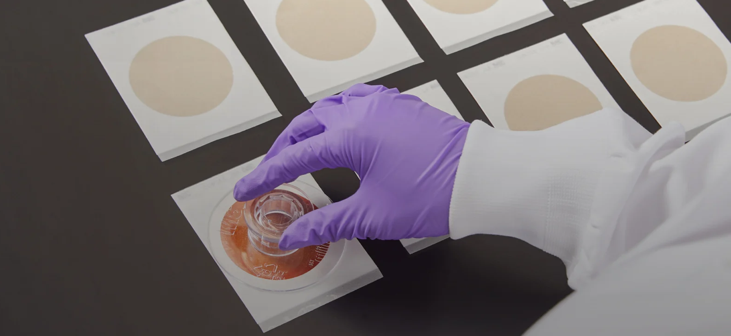 Person with a glove pressing down on a piece of paper