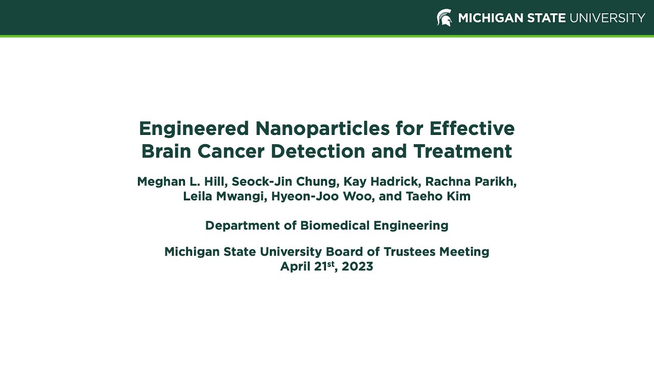Engineered Nanoparticles for Effective Brain Cancer Detection and Treatment, Meghan Hill