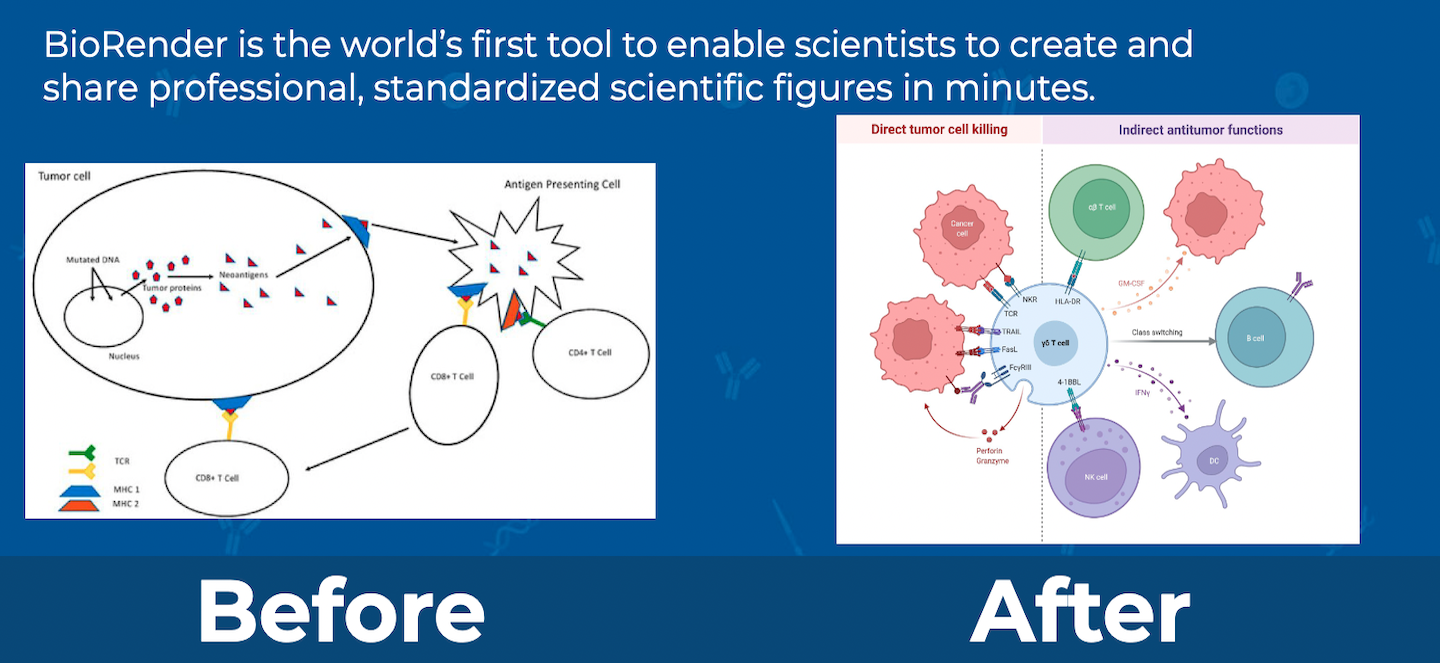 Example of scientific graphic made with powerpoint compared to BiorRnder