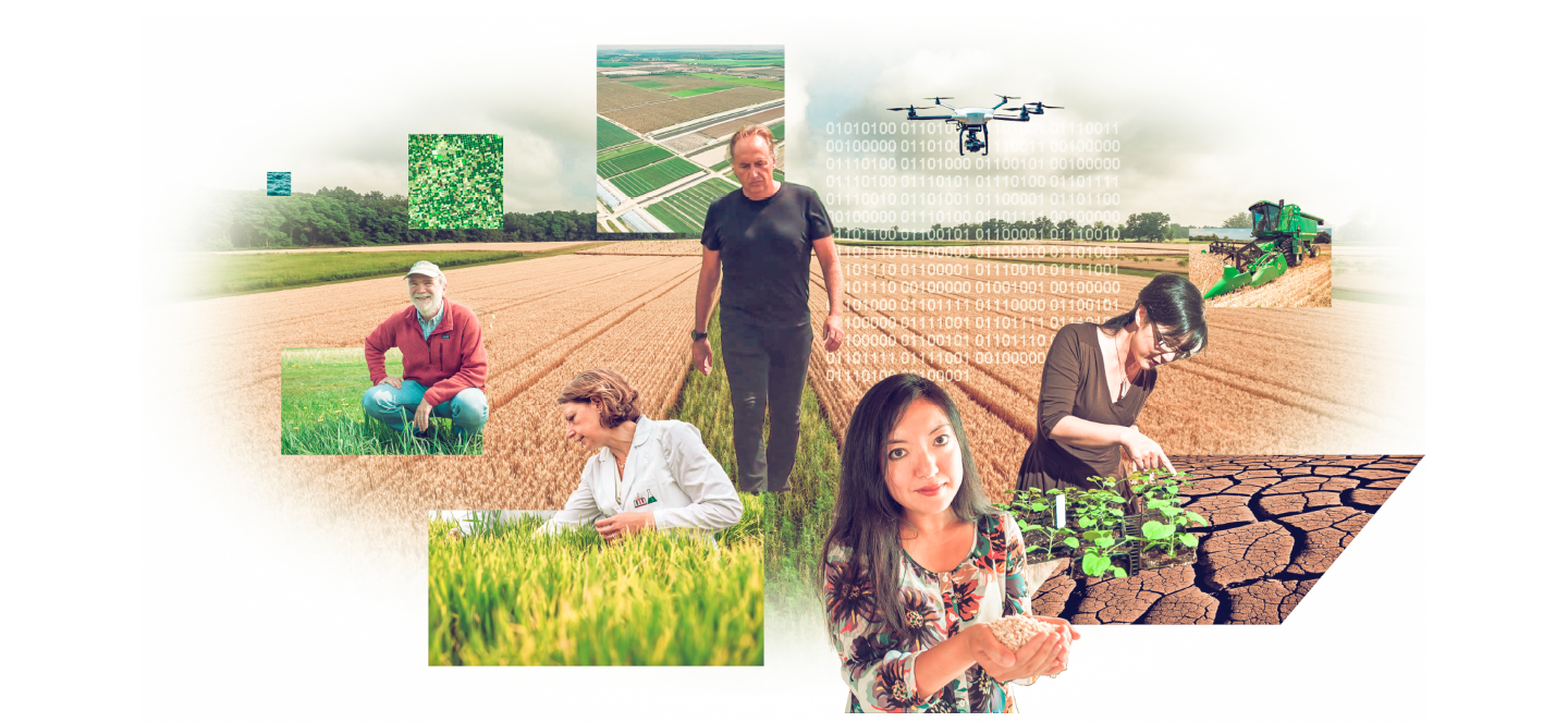 A collage of plant researchers in the field.