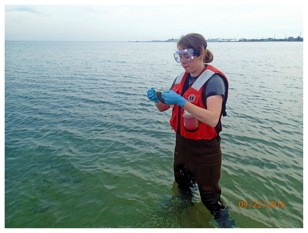 A student taking samples from a large body of water
