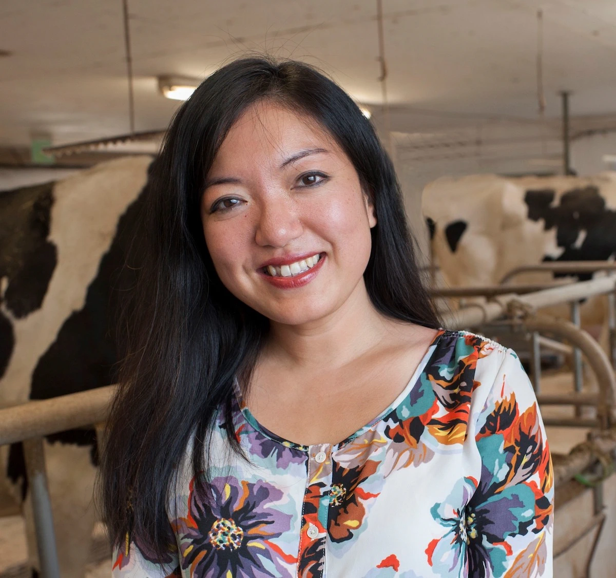 MSU professor Felicia Wu standing with cows in the background