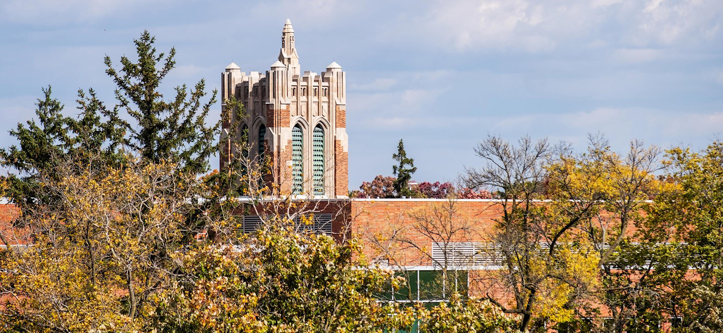 MSU Beaumon Tower in the background over campus