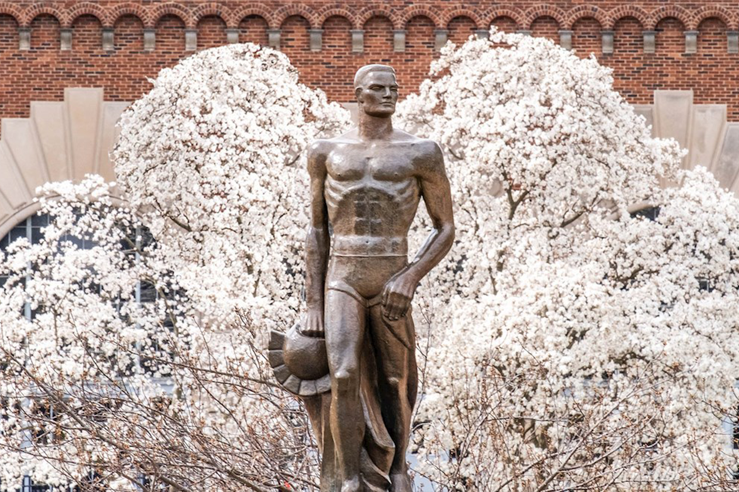 Spartan Statue in the spring with a tree blooming behind it