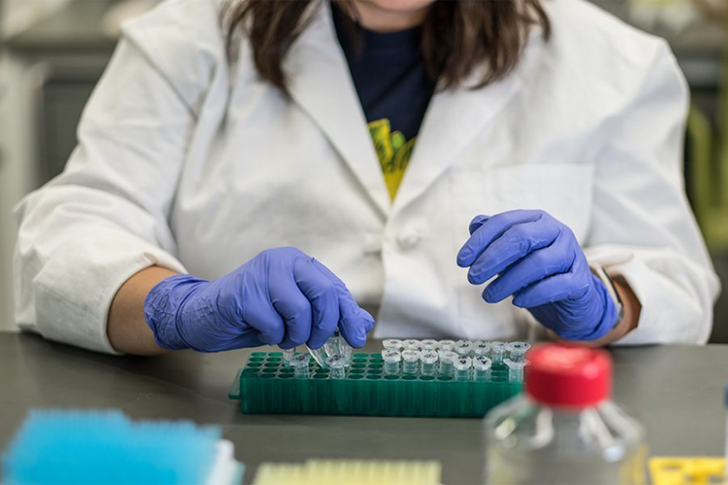 A person wearing a lab coat and purple safety gloves, handling a green tray of small vials. 