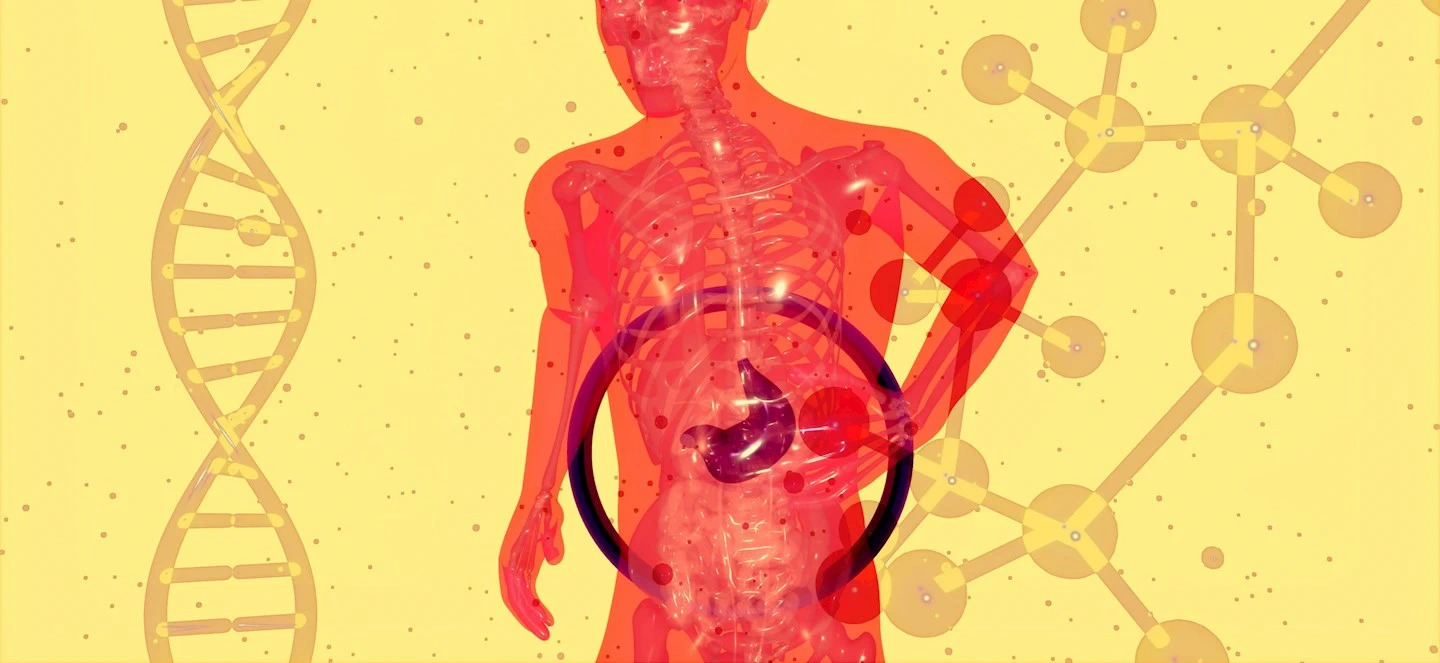 Art of semi-transparent human body with highlighted stomach surrounded by helixes and molecules