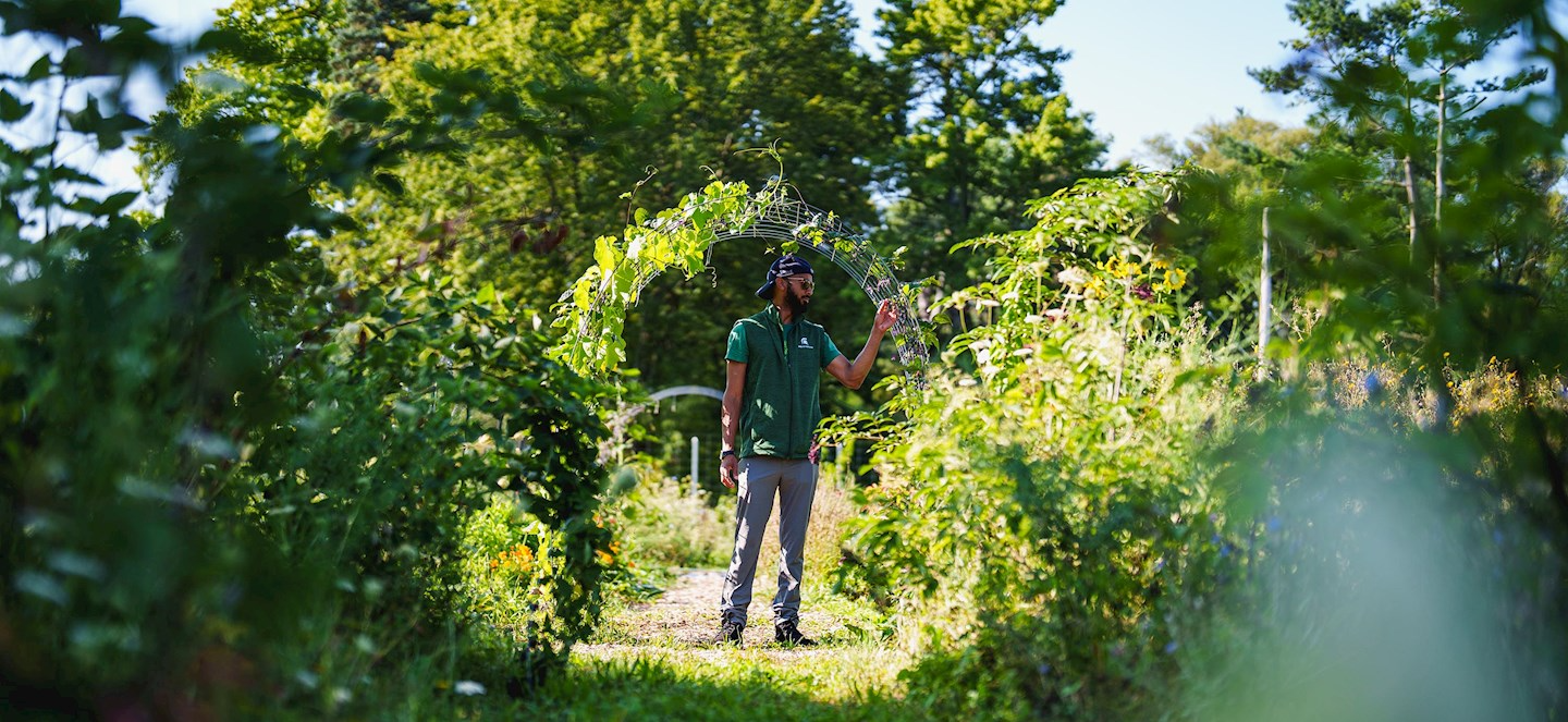 A person stands in a lush, green garden surrounded by tall plants and foliage