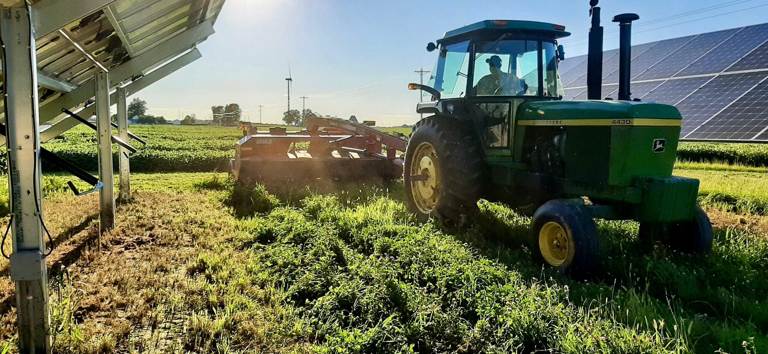 A tractor harvesting Alfalfa under solar panels