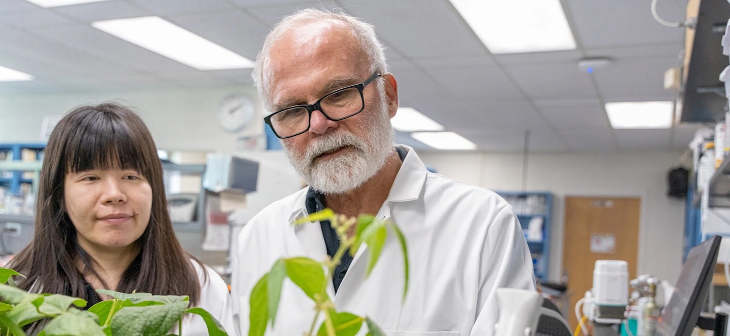 Tom Sharkey and a person in lab observing plants