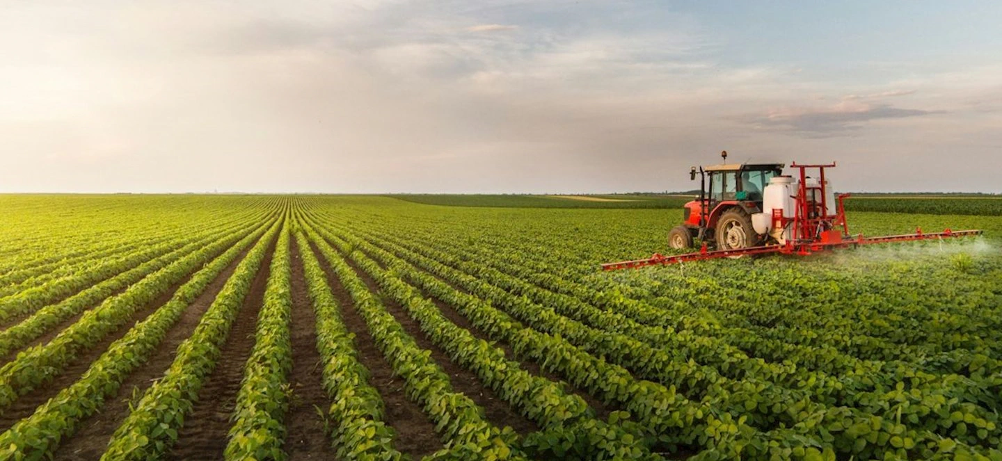 Red tractor in a sunny crop field