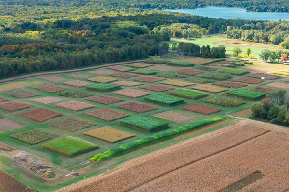 aerial view of Kellogg Biological Station