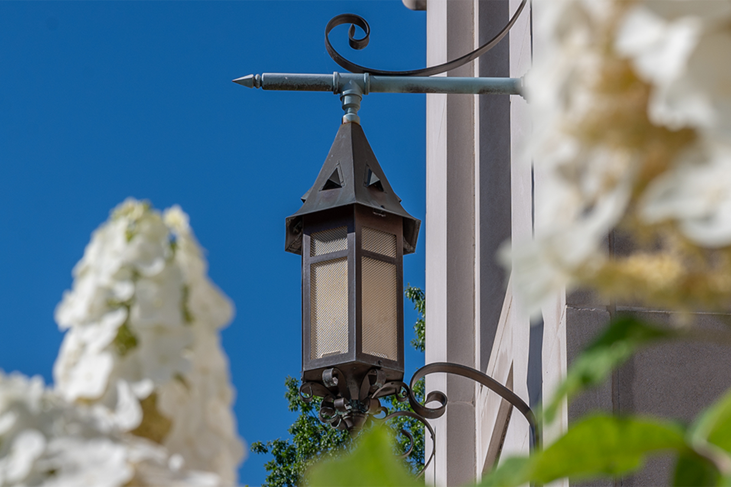 MSU lantern