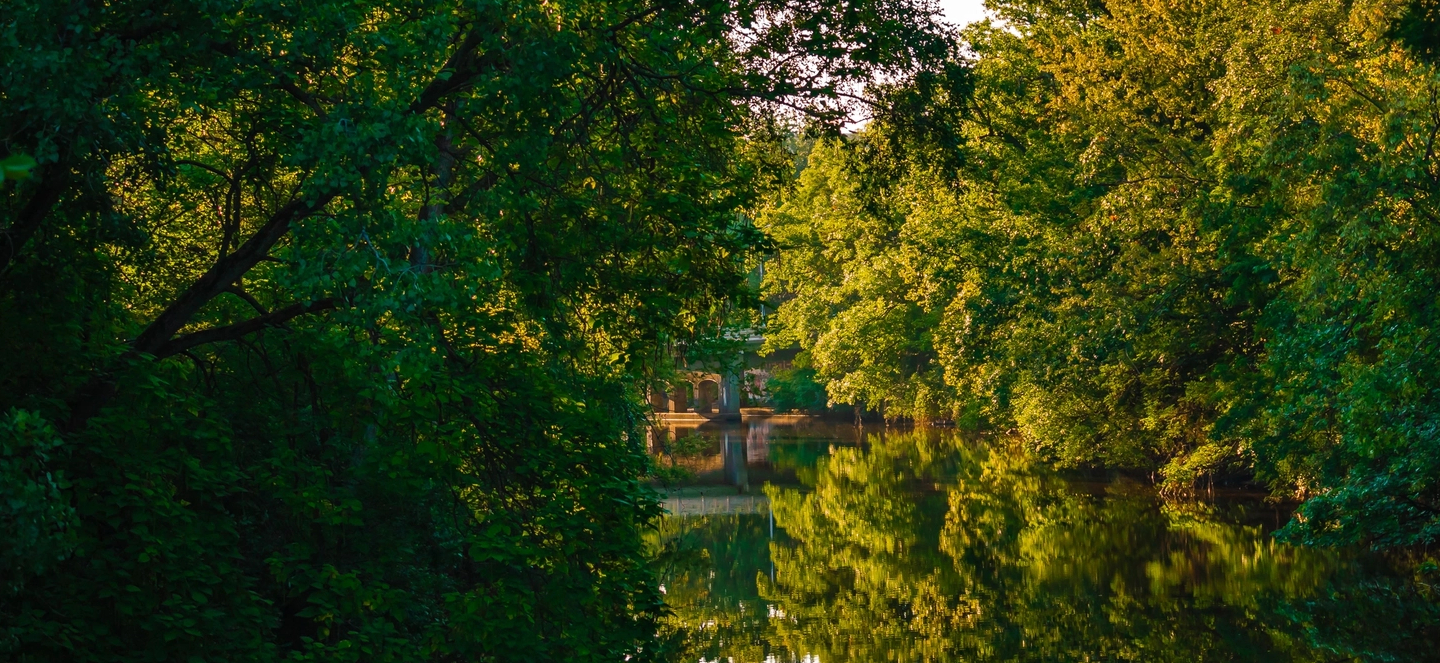 Bridge with river underneath along forests