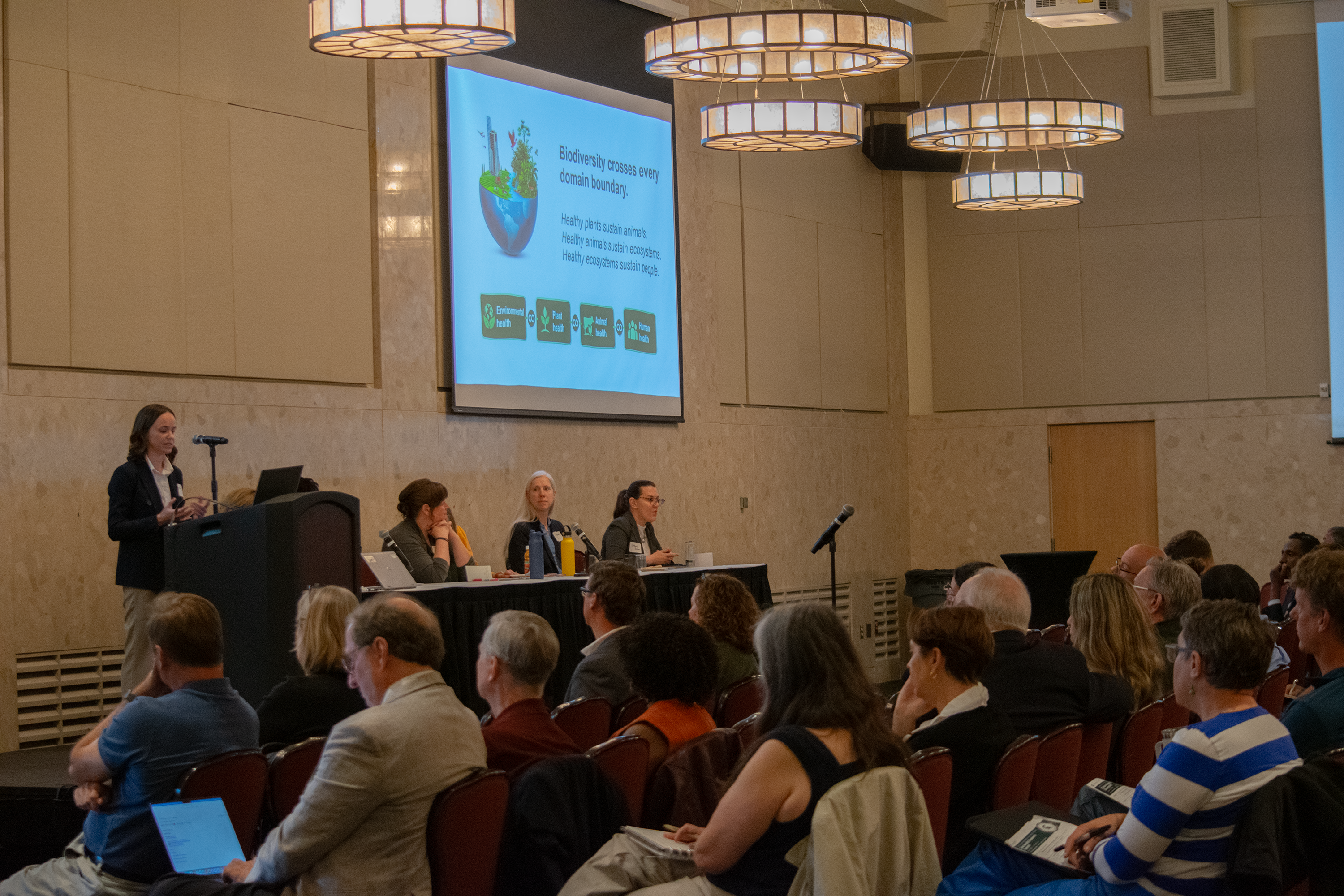 A group of people sitting in chairs, listening to a presentation by several people on a stage. The screen in the background says "Biodiversity crosses every domain boundary"