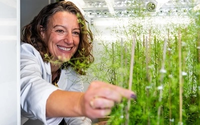 Federica Brandizzi touching plants