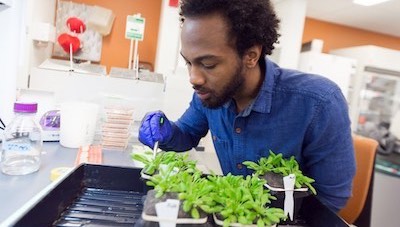 Fascination of Plants Days, 5/19/18 Young man working in plant lab