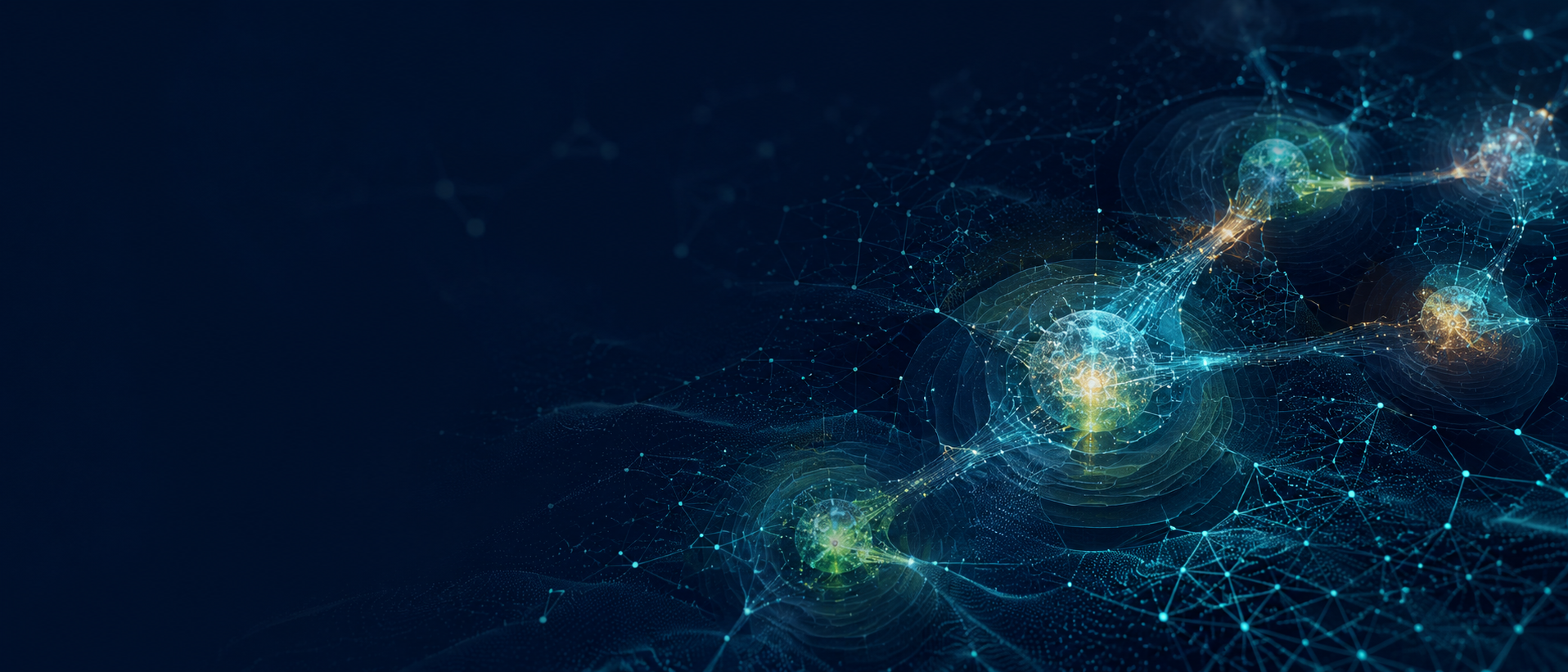 NSI Security Networking Graphic