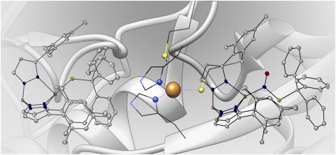 graphical depiction of Bioinorganic chemistry molecules