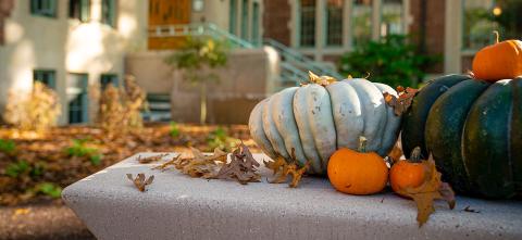 Pumpkins with an MSU hall in the background. 