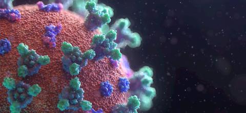 COVID-19 chromosome graphic. 