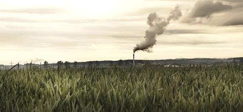 Crop field with a stake in the background letting out smoke. 