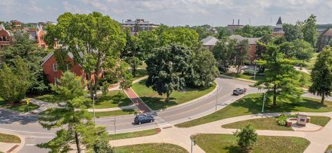 MSU Campus during the summer