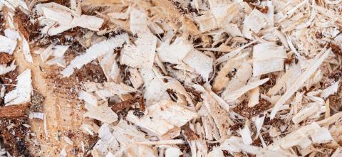 Wood chips