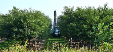 Pesticide being applied in a cherry orchard