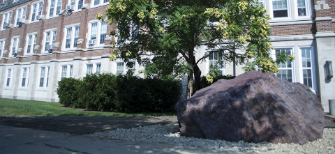 A large rock on the MSU campus