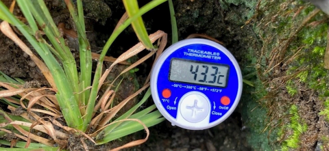 Thermometer measuring soil temperatures