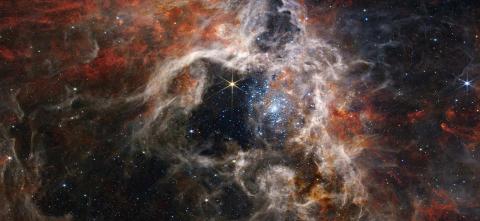 Picture captured of space with clouds of gas and dust swirling around forming stars