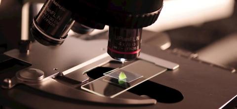 Close-up of a microscope focusing in on a glass slide with a small green leaf underneath