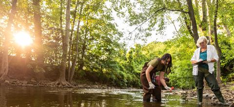 Joan Rose team conducting water research.