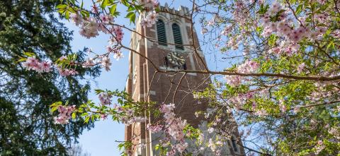 MSU Beaumont Tower