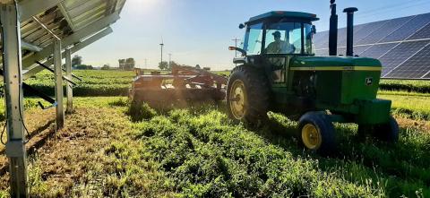 A farmer driving a tractor to harvest alfalfa beneath solar panels