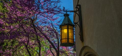 Lantern hanging from MSU building
