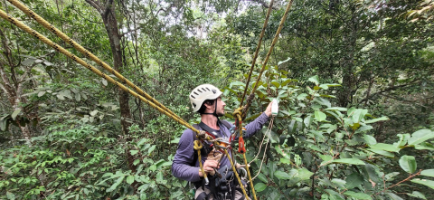 A person zip lining through the Amazon