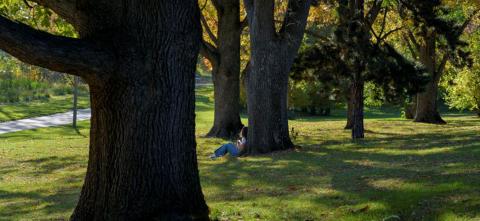 Woman sitting under tree in forest