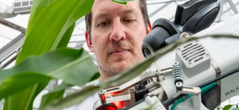 Berkley Walker analyzing plant under microscope