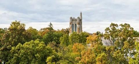 Beaumont tower alongside trees
