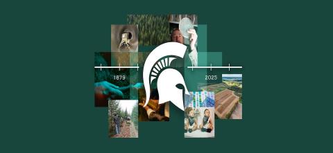 MSU timeline
