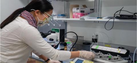 Thu Dong in research lab