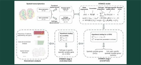 A flowchart of the STANCE model