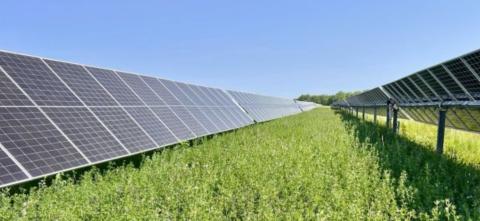 Solar panel farm