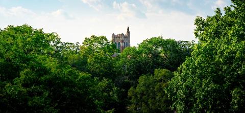 Beaumont Tower Covered by Trees