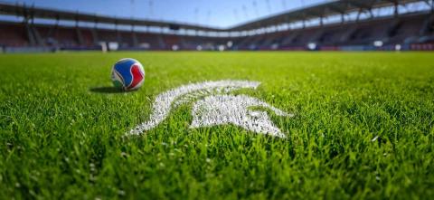 World Cup Spartan Logo on a field