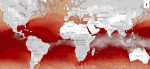 Global Sea Surface map