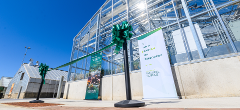 Greenhouse opening